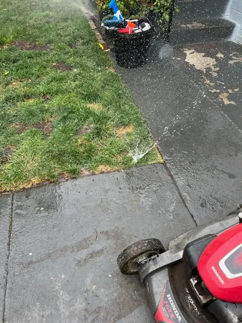 Reliable yard maintenance in Richmond, CA - Martin Landscaping