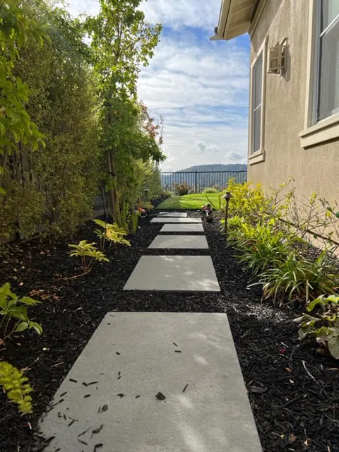 Expert landscaping services experts serving Richmond, CA - Martin Landscaping