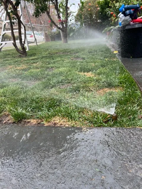 Local yard maintenance for year-round maintenance across Richmond, CA - Martin Landscaping