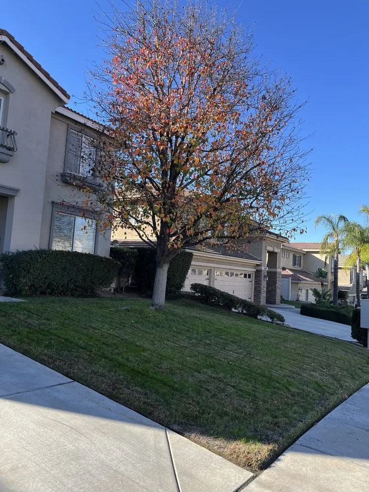 Professional yard maintenance with custom design in Riverside, CA by Martin Landscaping