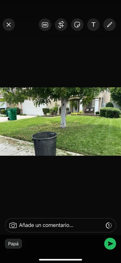 Top-rated lawn care service experts serving Riverside, CA - Martin Landscaping