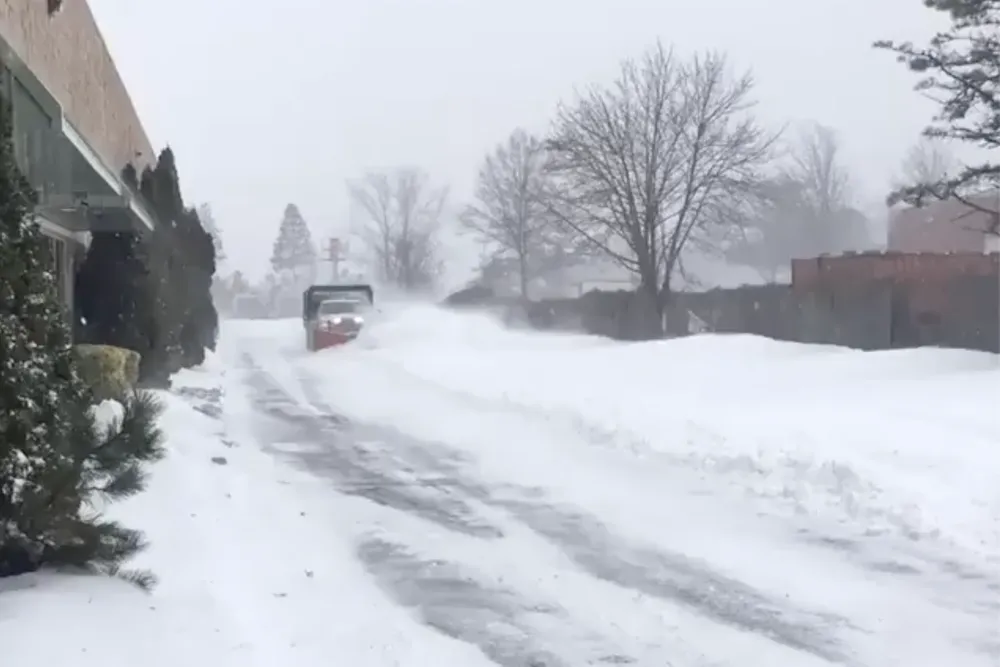 Local landscaping services experts serving Sayville, NY - Martin Landscaping