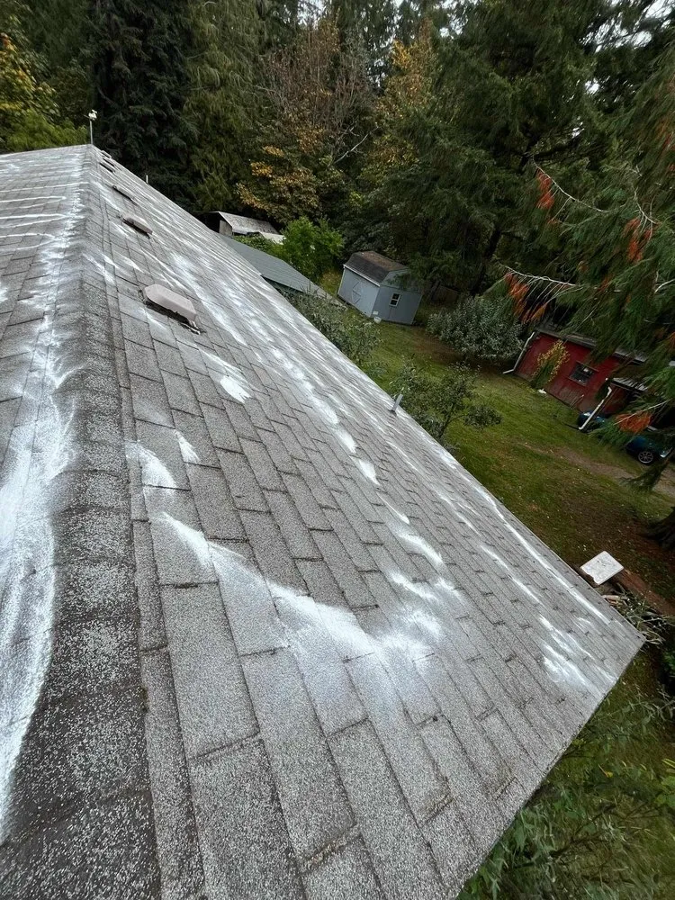 Trusted lawn mowing service for outdoor upgrades across Shelton, WA - Martin Landscaping