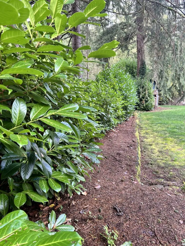Reliable residential landscaping in Shelton, WA - Martin Landscaping