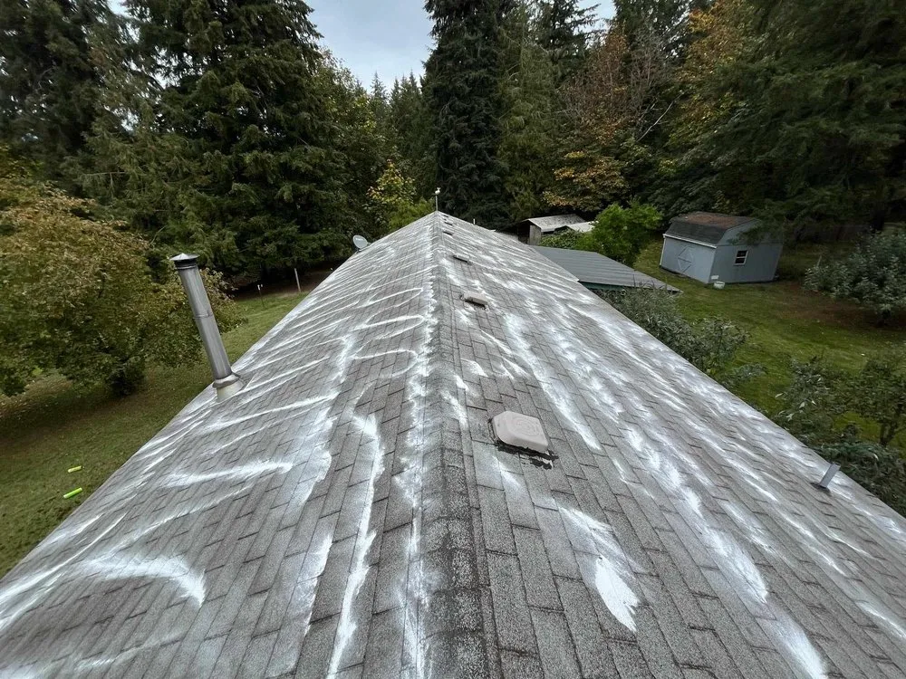 Trusted lawn care service with custom design in Shelton, WA by Martin Landscaping