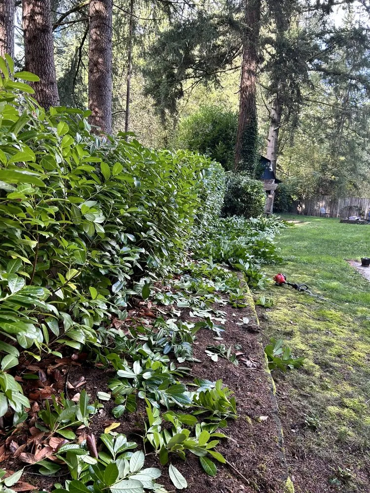 Top-rated landscape design in Shelton, WA by Martin Landscaping