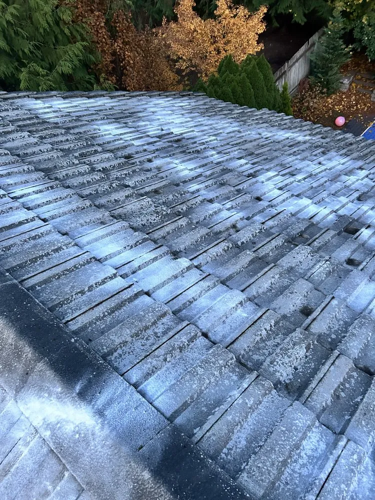 Expert garden landscaping experts serving Shelton, WA - Martin Landscaping