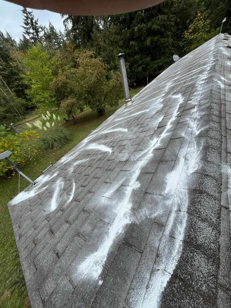 Affordable garden landscaping for outdoor upgrades across Shelton, WA - Martin Landscaping