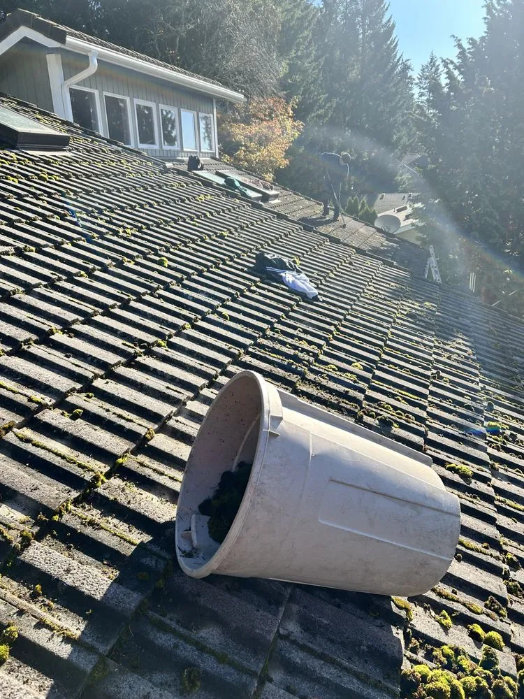 Top-rated landscape installation in Shelton, WA - Martin Landscaping