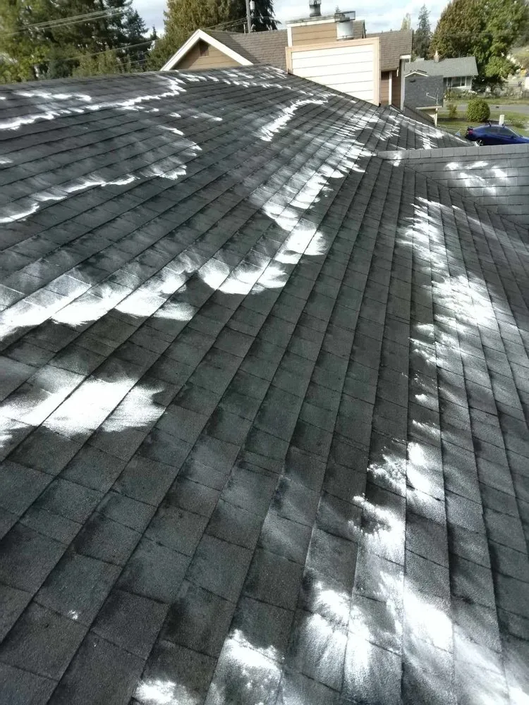 Trusted yard maintenance for homes across Shelton, WA - Martin Landscaping