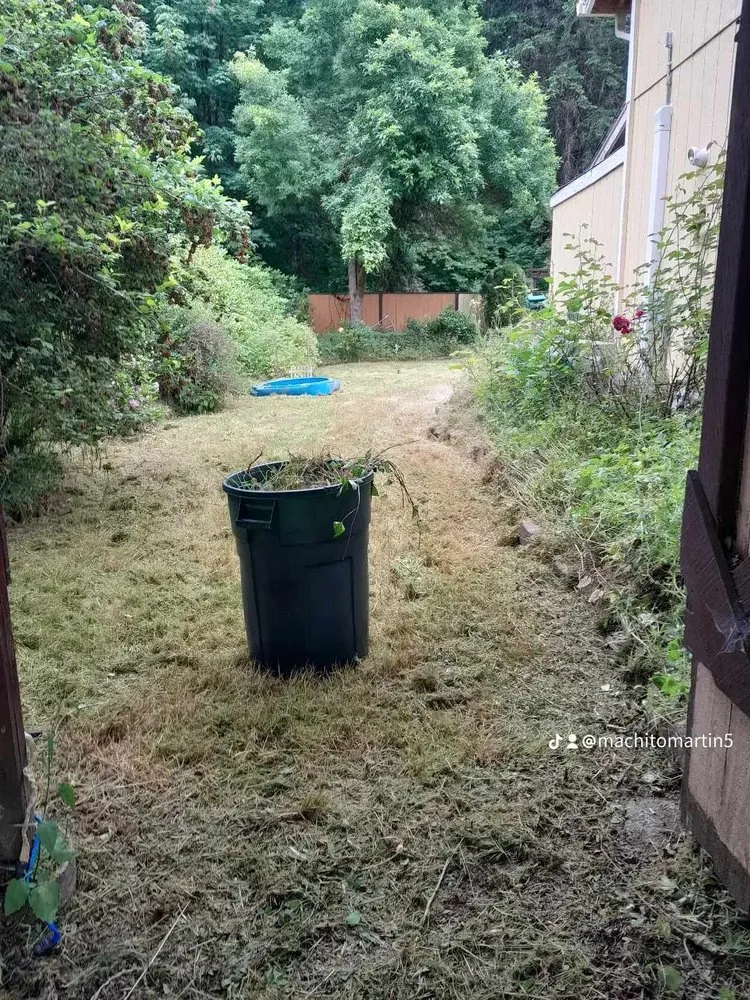 Reliable yard maintenance for residential properties across Shelton, WA - Martin Landscaping