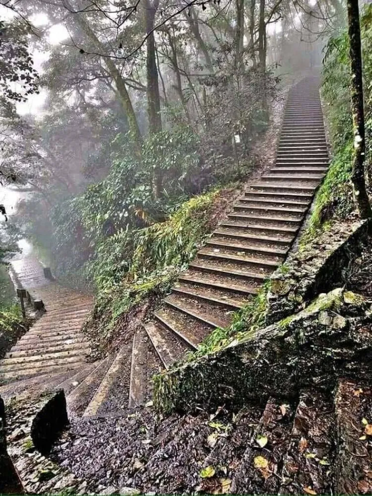 Custom yard maintenance for outdoor upgrades in Shelton, WA by Martin Landscaping