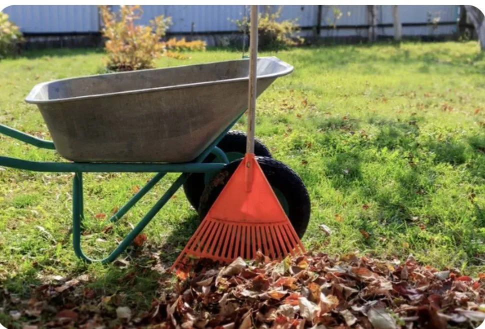 Top-rated yard cleanup service for homes across Shelton, WA - Martin Landscaping