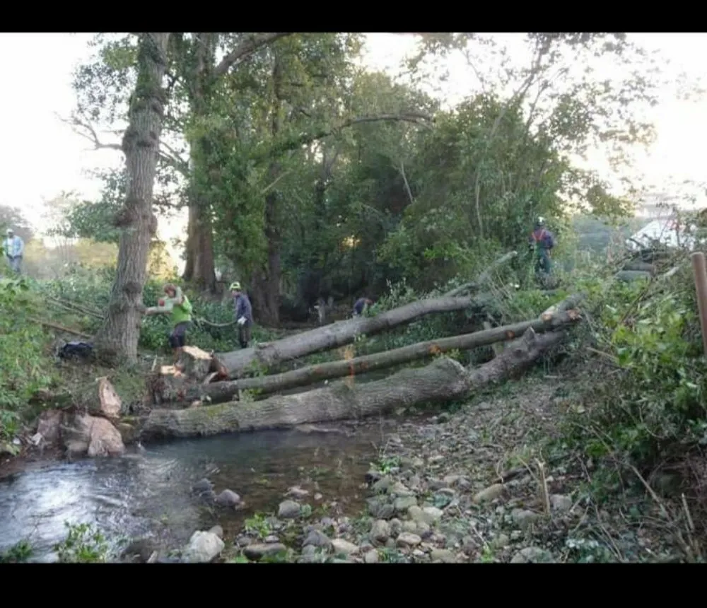 Local lawn mowing service for outdoor upgrades in Shelton, WA by Martin Landscaping