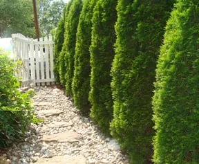 Reliable garden landscaping for homes in Silver Spring, MD by Martin Lawn & Landscaping