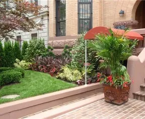 Expert yard maintenance in Silver Spring, MD - Martin Lawn & Landscaping