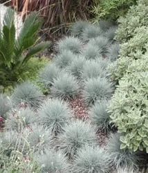 Trusted yard maintenance for beautiful yards in Silver Spring, MD by Martin Lawn & Landscaping