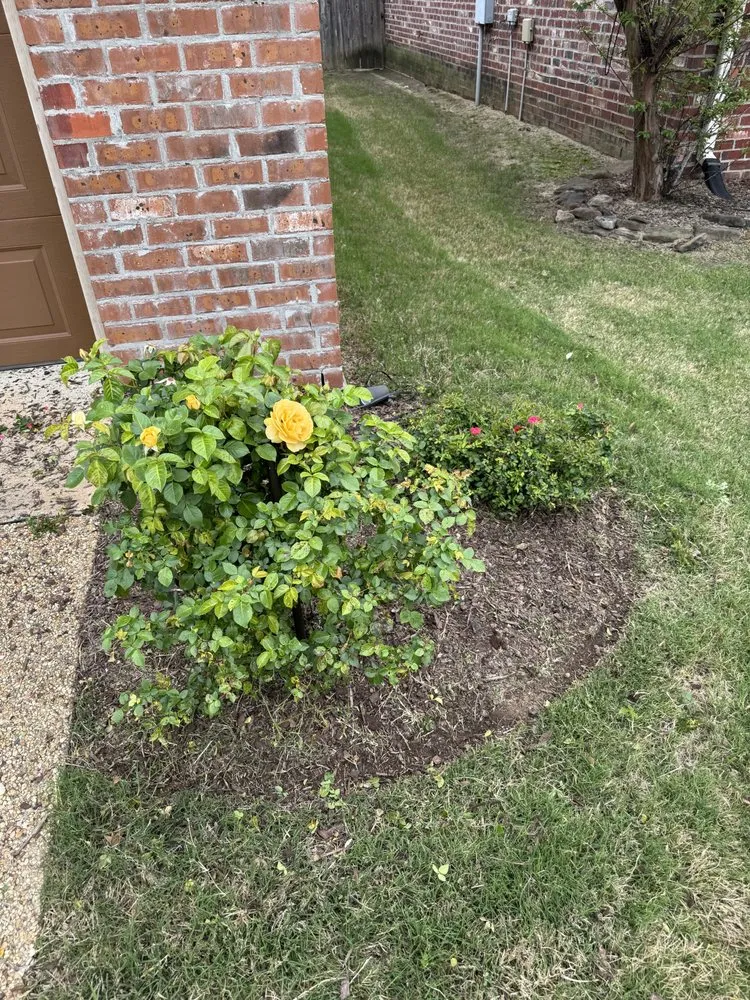 Custom landscaping services for residential properties in Jackson, MS by Martin lawn and landscape
