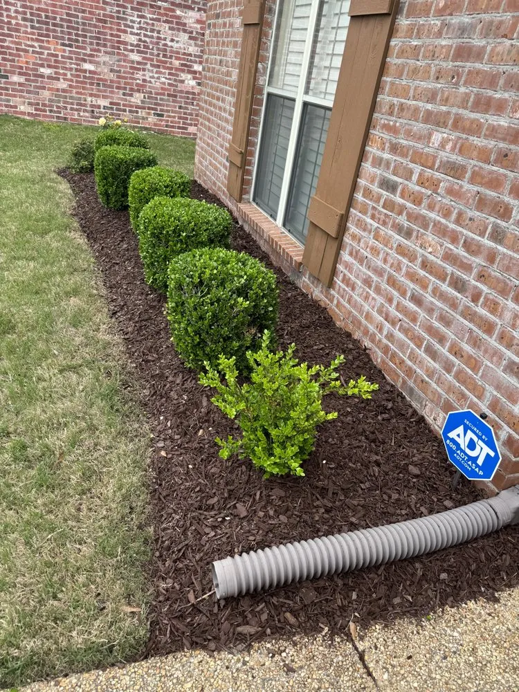 Local landscape design for residential properties in Jackson, MS by Martin lawn and landscape