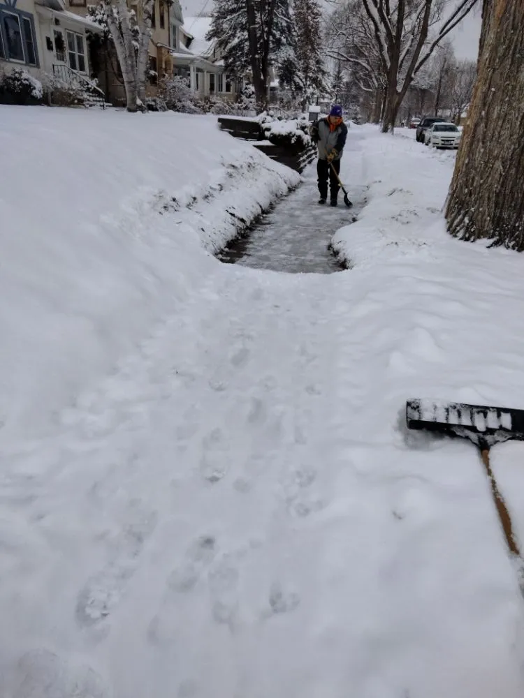 Reliable landscaping services in Bloomington, MN by Martin Lawn Care