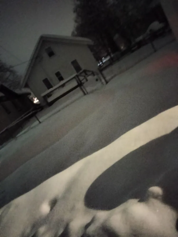 Professional yard cleanup service in Bloomington, MN - Martin Lawn Care