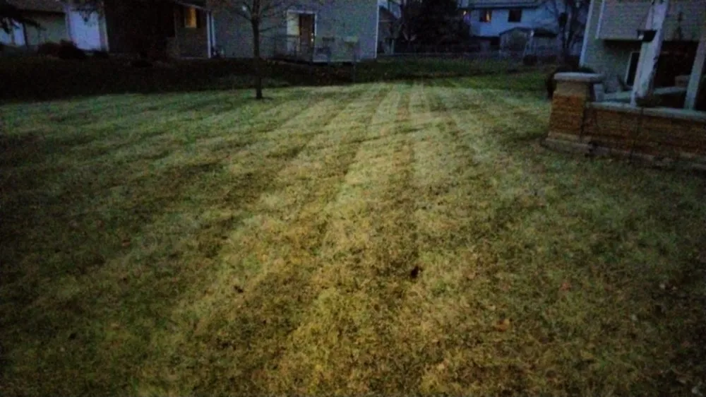 Expert landscaping services for beautiful yards across Bloomington, MN - Martin Lawn Care