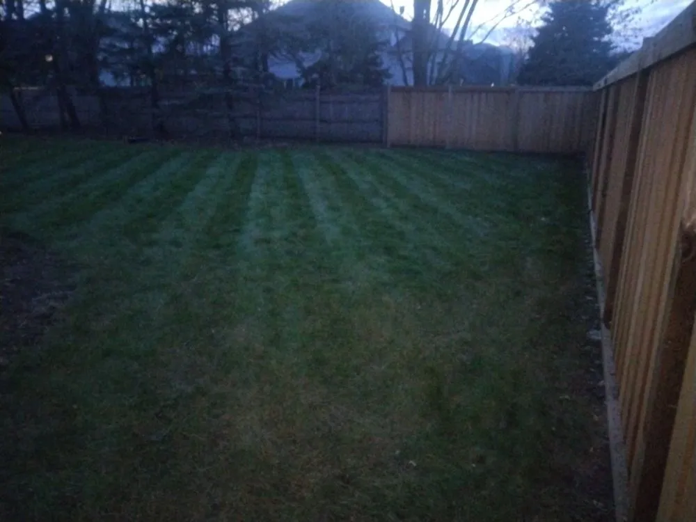 Reliable garden landscaping in Bloomington, MN - Martin Lawn Care