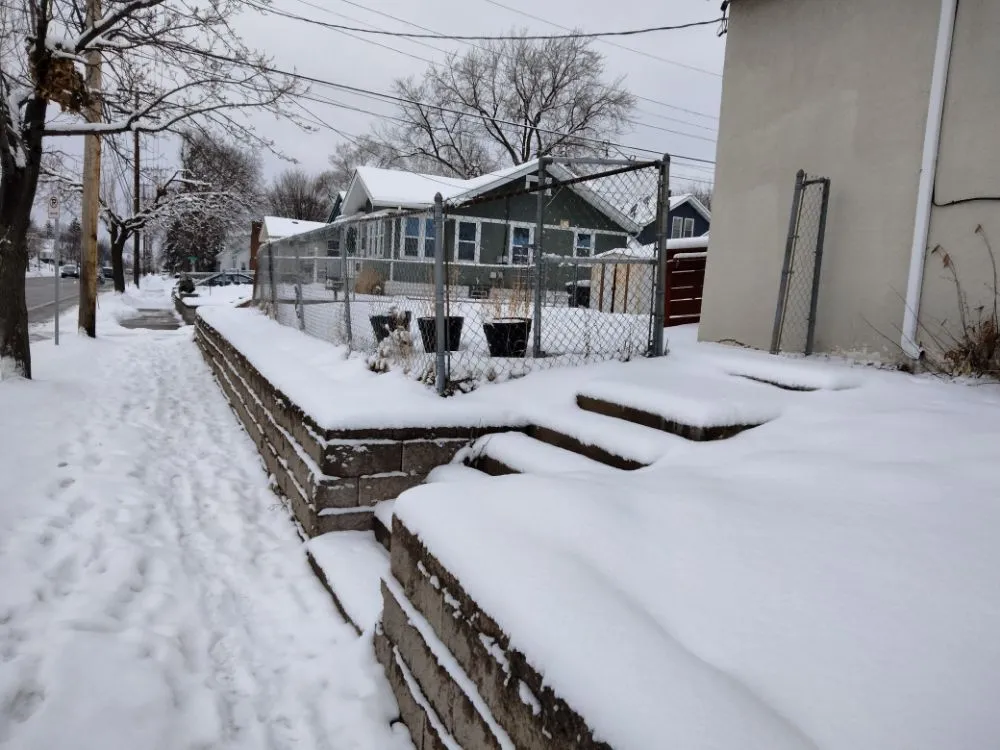 Expert yard cleanup service experts serving Bloomington, MN - Martin Lawn Care