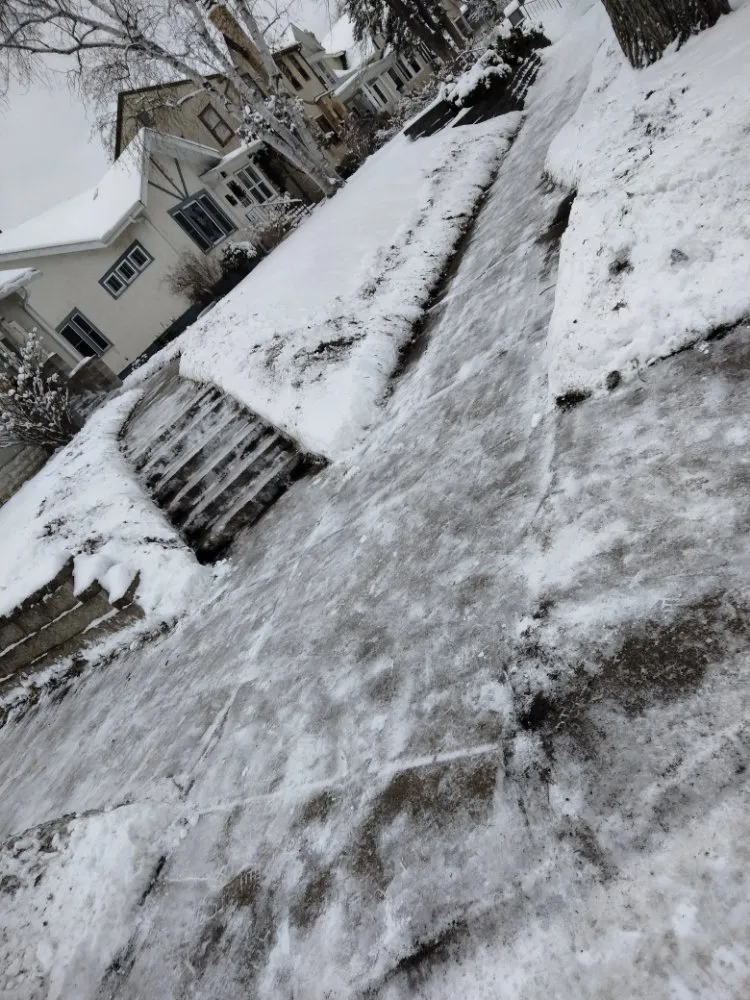 Reliable lawn care service for year-round maintenance across Bloomington, MN - Martin Lawn Care