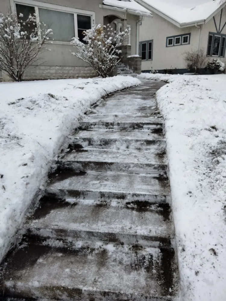 Expert yard cleanup service for beautiful yards in Bloomington, MN by Martin Lawn Care