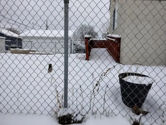 Martin Lawn Care Logo