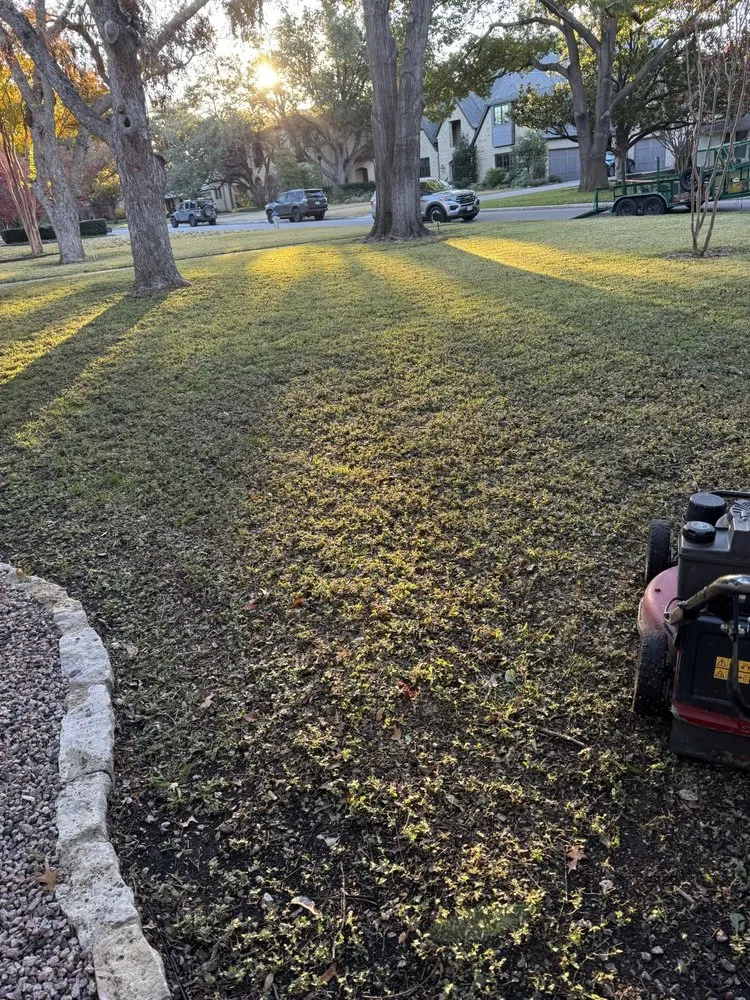 Affordable landscape design experts serving North Richland Hills, TX - Martin Lawn Care