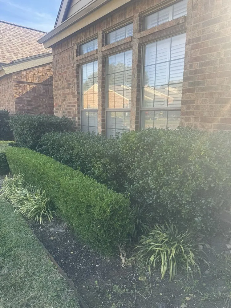 Expert landscape design for residential properties across North Richland Hills, TX - Martin Lawn Care