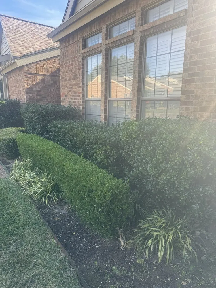 Expert landscape design for residential properties across North Richland Hills, TX - Martin Lawn Care