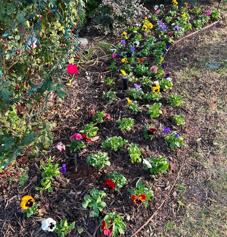 Top-rated garden landscaping for year-round maintenance across North Richland Hills, TX - Martin Lawn Care