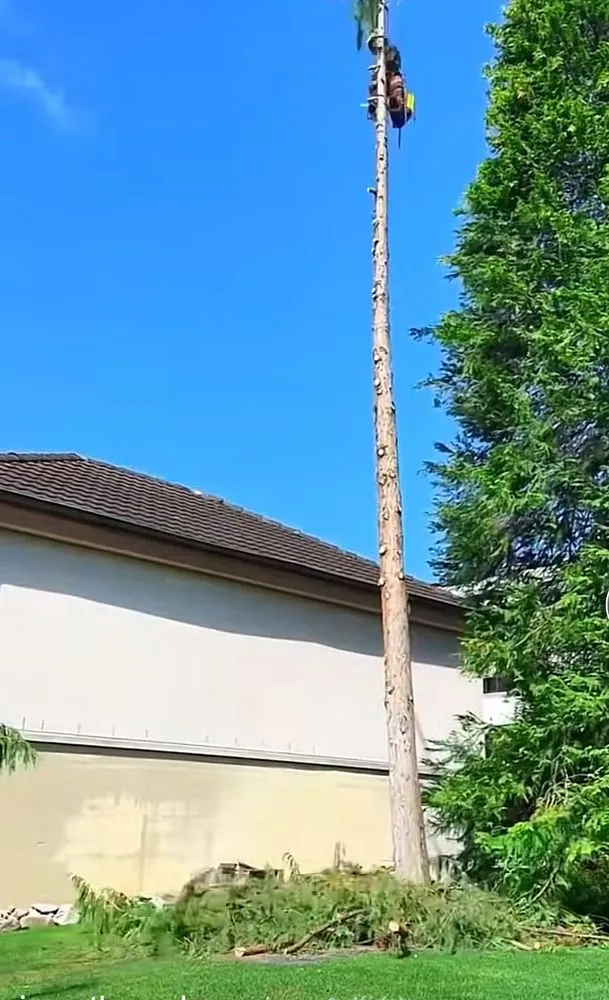 Affordable lawn care service experts serving North Richland Hills, TX - Martin Lawn Care