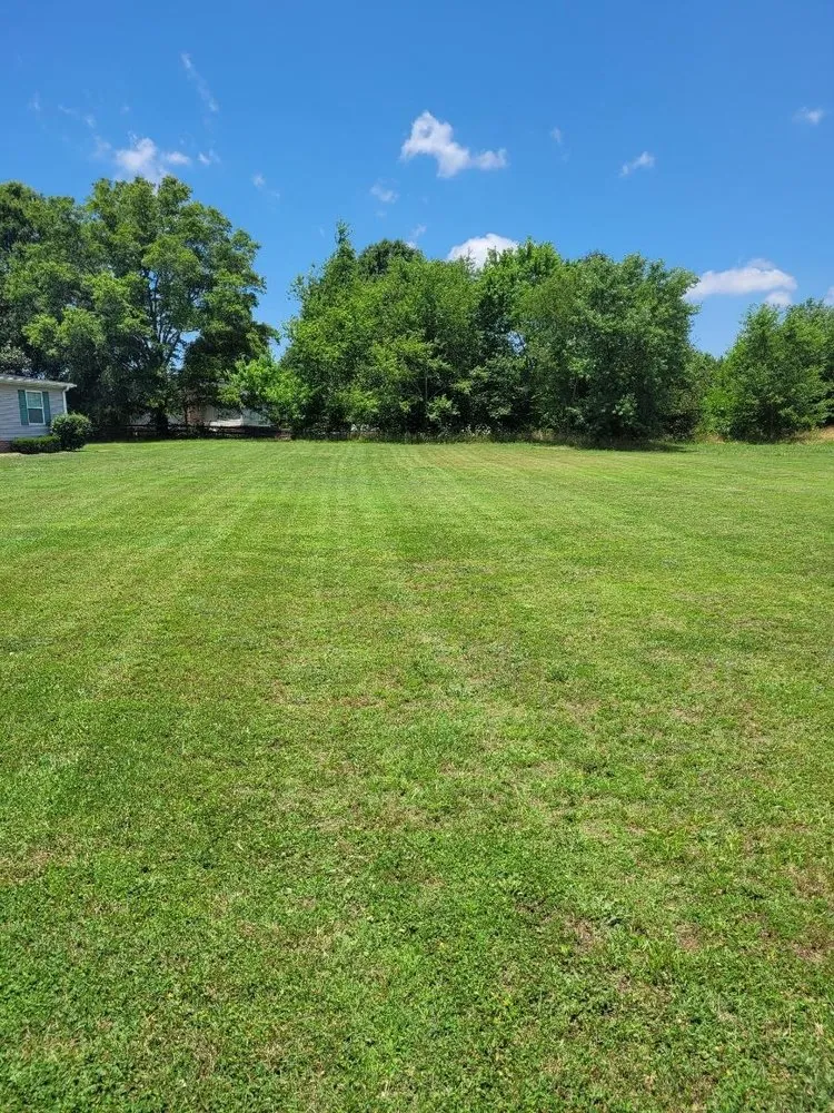 Local landscape design for outdoor upgrades across Inman, SC - Martin Lawn Management