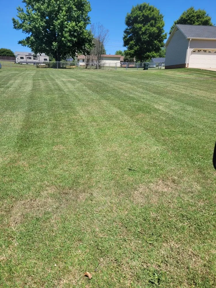 Affordable yard cleanup service in Inman, SC - Martin Lawn Management