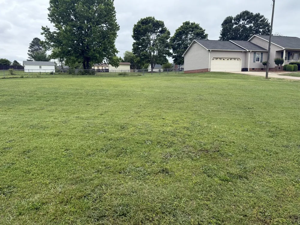 Top-rated yard cleanup service experts serving Inman, SC - Martin Lawn Management