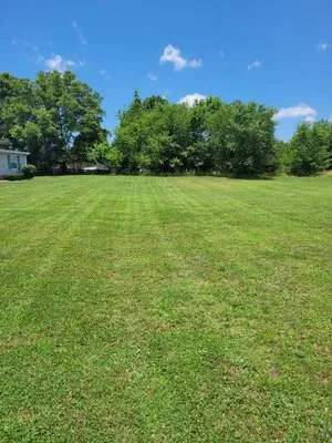 Martin Lawn Management Logo