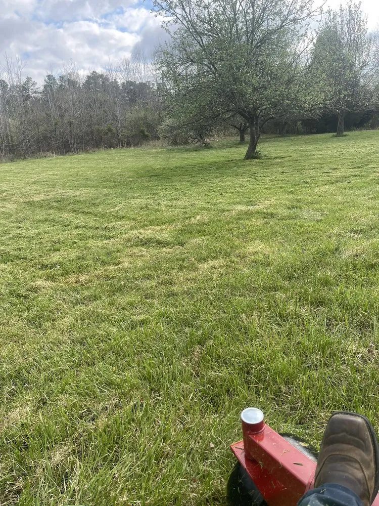 Professional outdoor landscaping for beautiful yards across Madisonville, KY - Martin lawncare