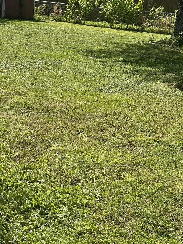 Reliable landscaping services for outdoor upgrades across Madisonville, KY - Martin lawncare