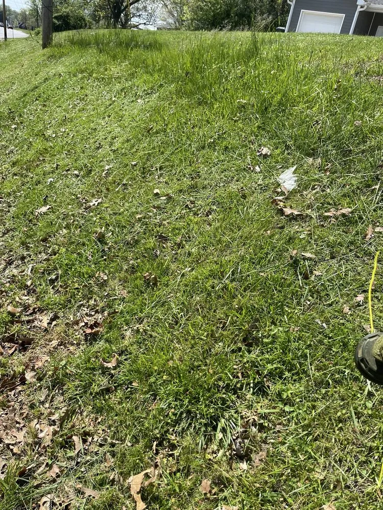 Expert lawn care service in Madisonville, KY by Martin lawncare