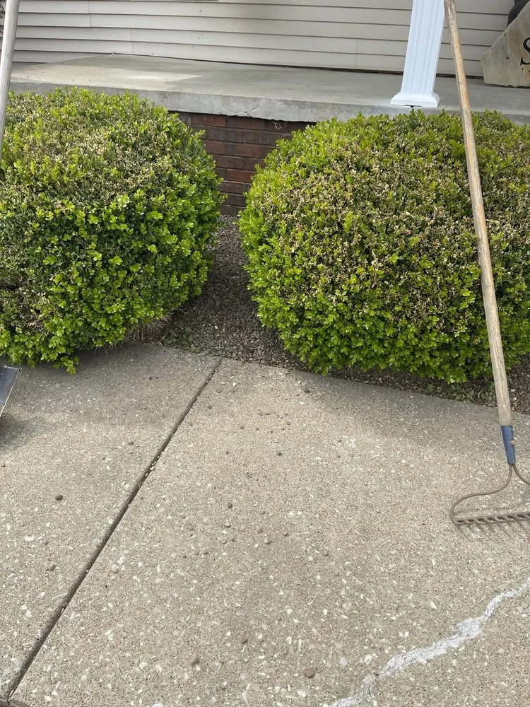 Affordable residential landscaping for residential properties across Madisonville, KY - Martin lawncare