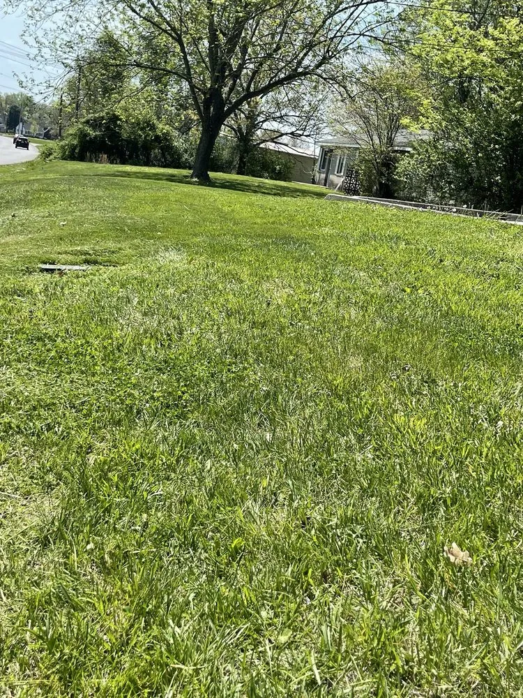 Trusted landscape installation in Madisonville, KY - Martin lawncare