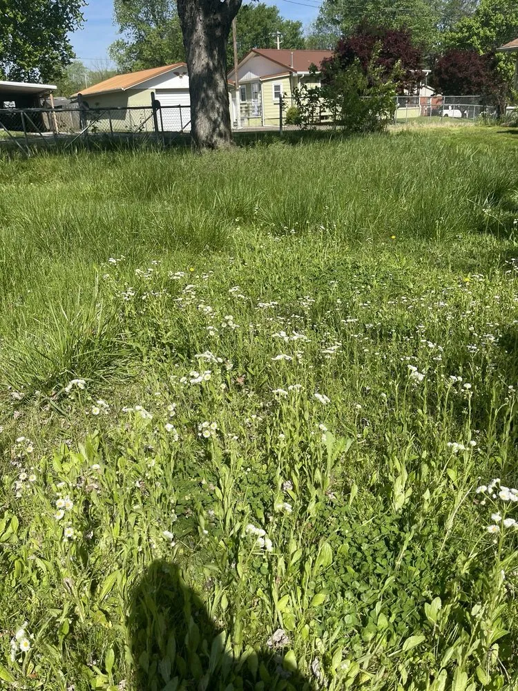 Custom landscaping services in Madisonville, KY - Martin lawncare