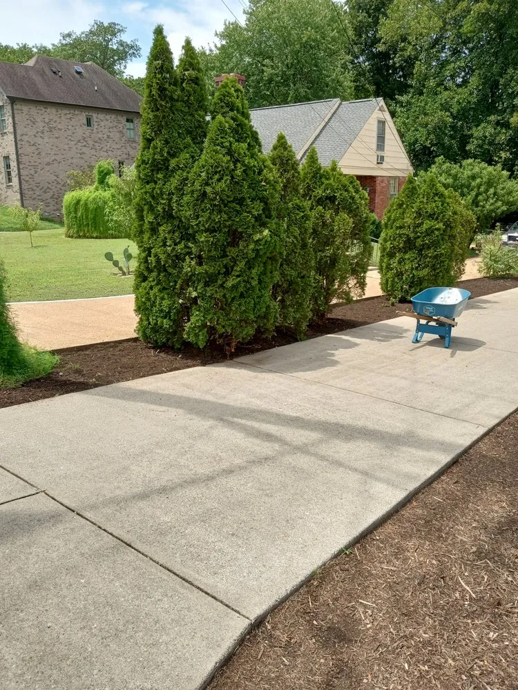 Reliable yard cleanup service for residential properties in Lebanon, TN by Martin Lawnscapes