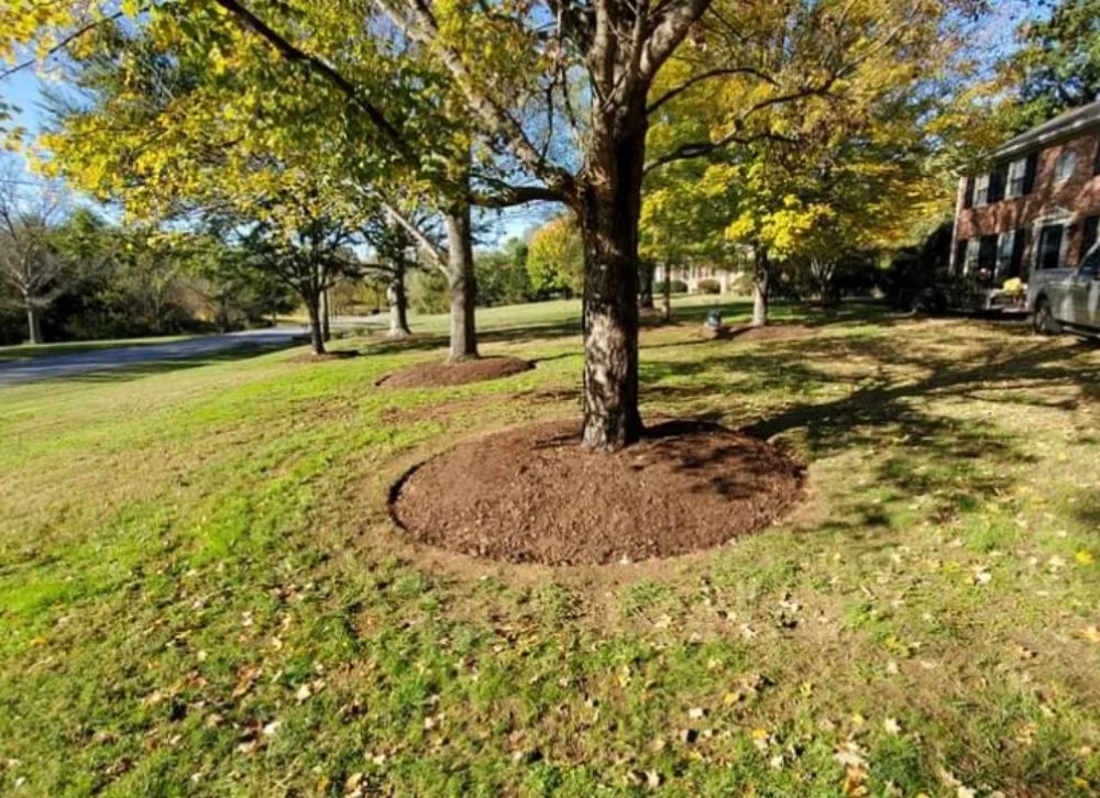 Local garden landscaping experts serving Lebanon, TN - Martin Lawnscapes