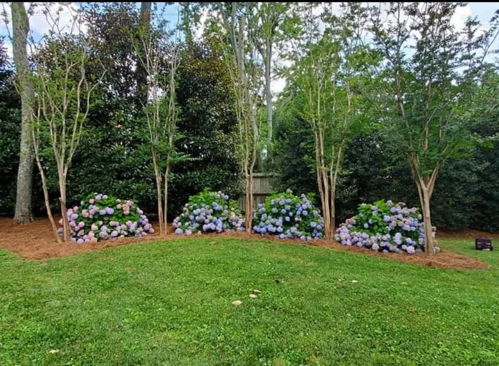 Trusted lawn care service in Lebanon, TN - Martin Lawnscapes