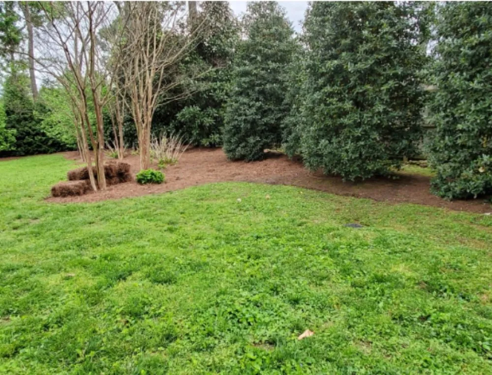 Expert landscaping services for beautiful yards in Lebanon, TN by Martin Lawnscapes